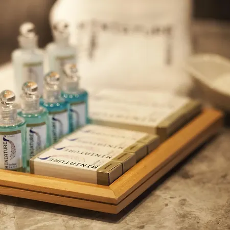 Hotel Miniature 3*
