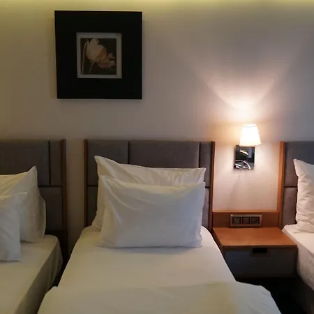 Отель Yuksel Yenikapi 4*