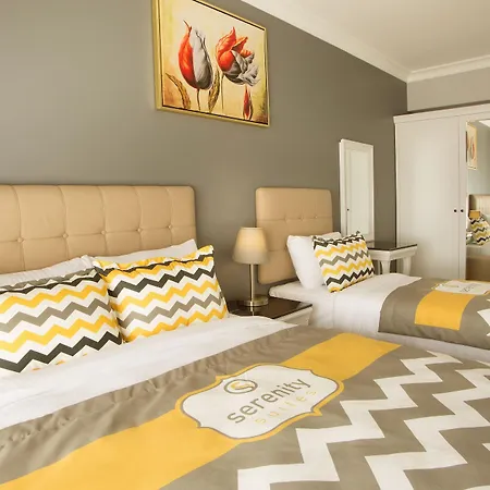 Serenity Airport Hotel 4*