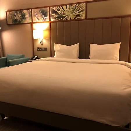 Hotel Hilton Garden Atatuerk Airport 4*