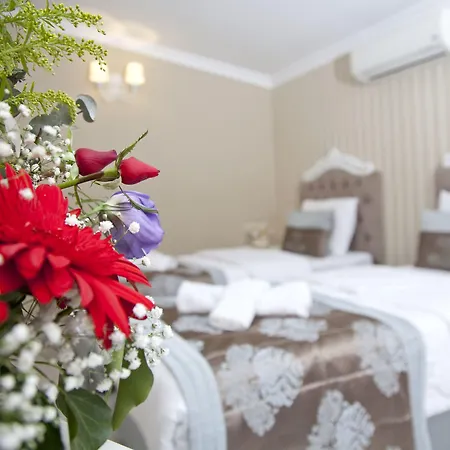 Divani Ali Istanbul