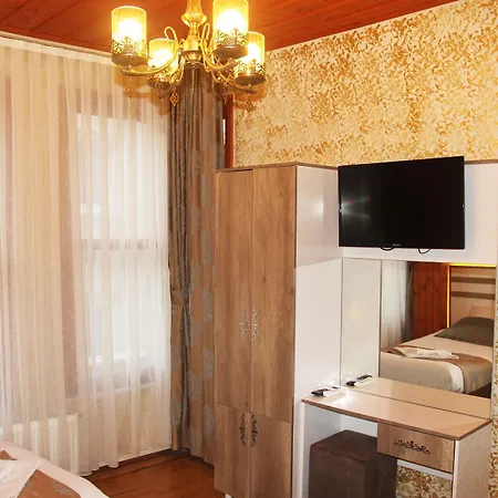 Hotel Theodian