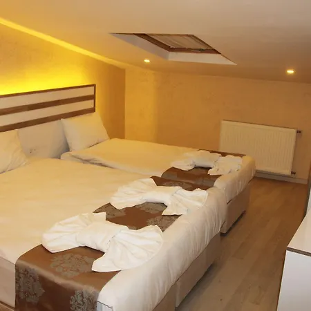 Hotel Theodian