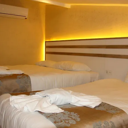 Hotel Theodian