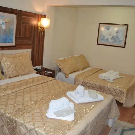 Hotel Mosq At Fatih 3*