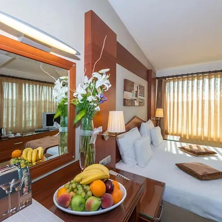Hotel Vatan Asur Provincia di Istanbul