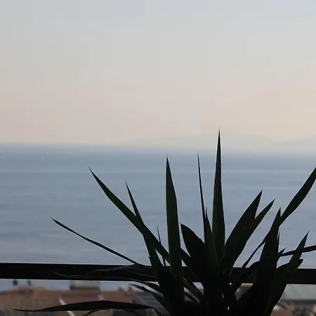 מלון Nayla Palace 2*