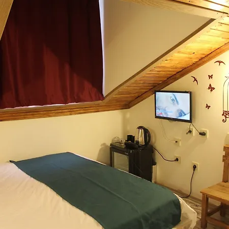 Hot Budget Ortakoy Hotel 3*