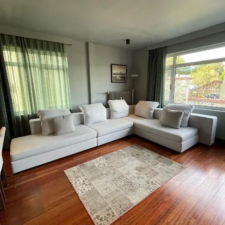 Apartment Panoramic Bosphorus View Cozy