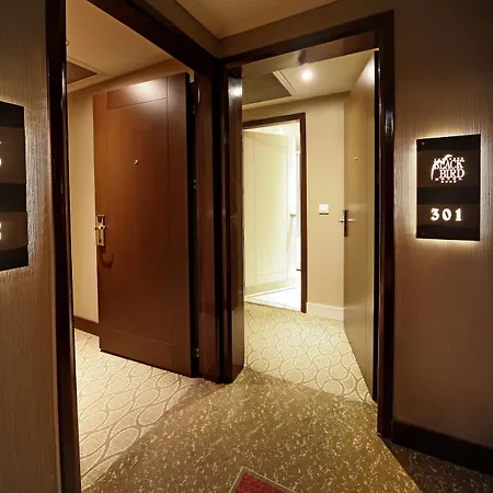 The Parma Downtown 4* Provincia di Istanbul