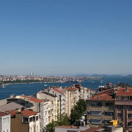 Sunflower * Istanbul