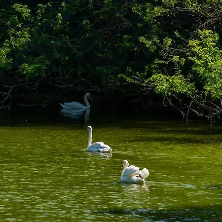 Polonezkoey Country Club & In The Wildlife Park! Resort