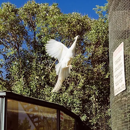 Polonezkoey Country Club & In The Wildlife Park! Resort 3*