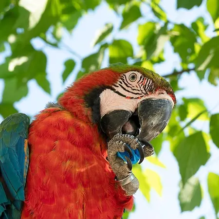 Polonezkoey Country Club & In The Wildlife Park! Resort