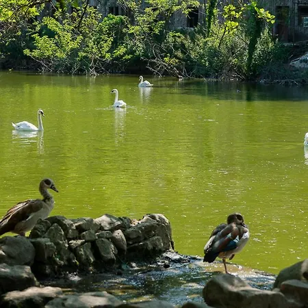 Polonezkoey Country Club & In The Wildlife Park! Resort
