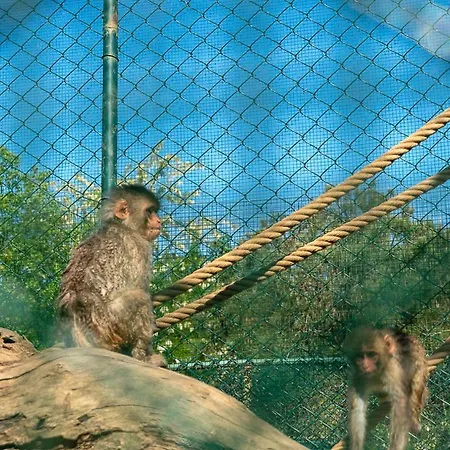 Polonezkoey Country Club & In The Wildlife Park! İstanbul