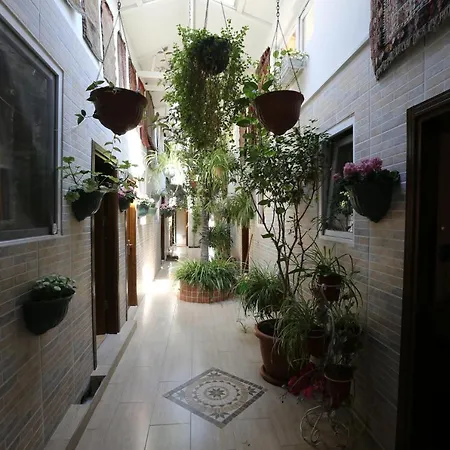 Hotel Yesilkoey Airport