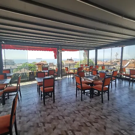 苹果树酒店 酒店