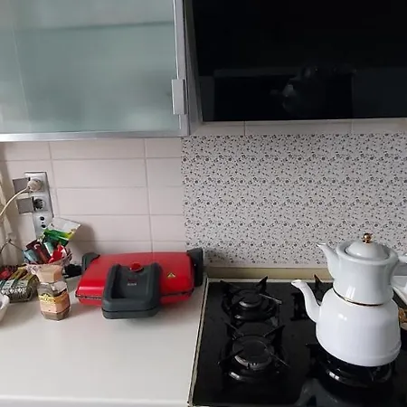 Beylikduzu Huzurlu Aile Yasam Sitesi Ful Donanimli Ev Istanbul