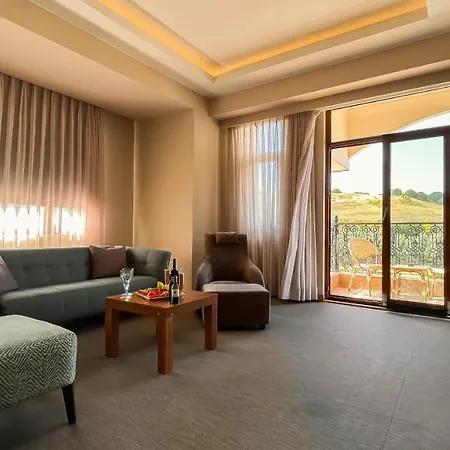 فندق وسبا ذا ساين سيلي 5*