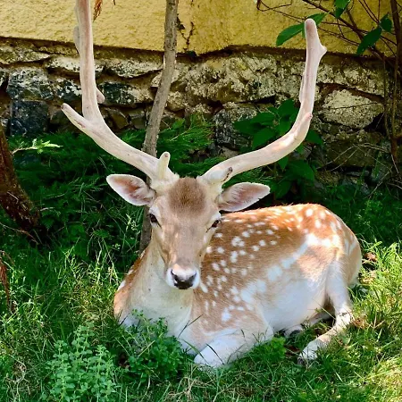Resort Polonezkoey Country Club & In The Wildlife Park!