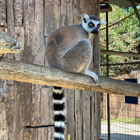 Polonezkoey Country Club & In The Wildlife Park! Resort İstanbul