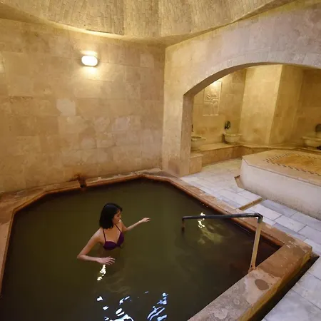Ξενοδοχείο Herakles Thermal 4*