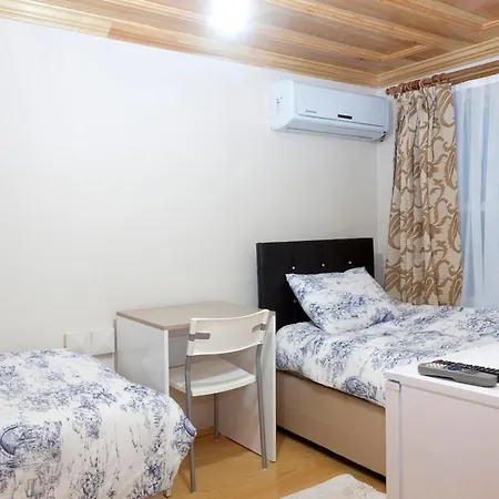 Petunya Wood House Guest house *