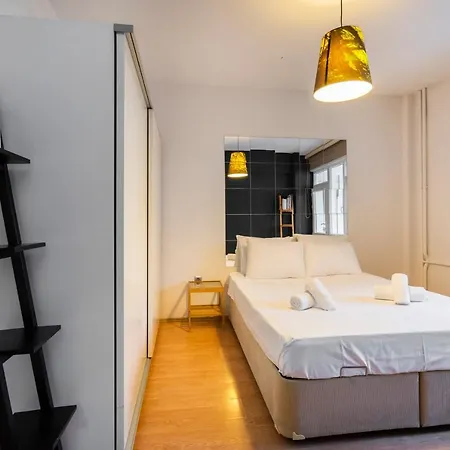 Central Stylish House In Gayrettepe *