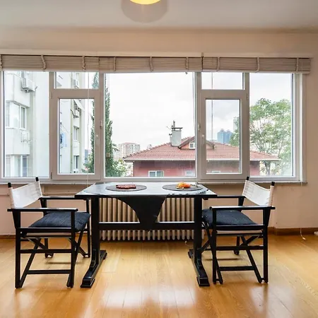 Central Stylish House In Gayrettepe *
