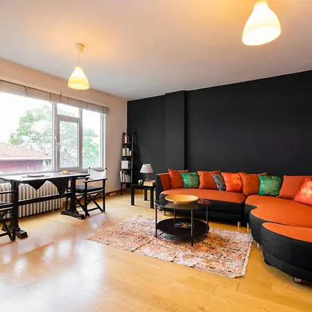 Central Stylish House In Gayrettepe