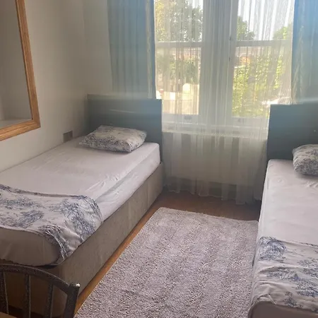 Petunya Wood House Guest house *