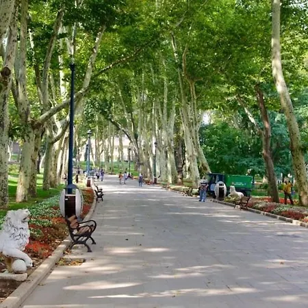 Apartment Delightful Sultanahmet I