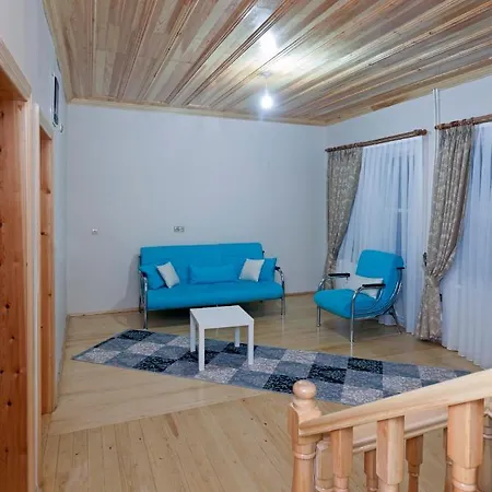Petunya Wood House