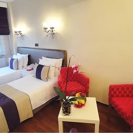 Bakirkoy Tashan Business & Airport Hotel 2*