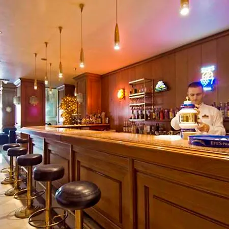 伊斯坦布尔阿克根酒店 酒店 伊斯坦布尔