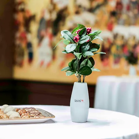 Hotel Levni & Spa - Special Category 5*