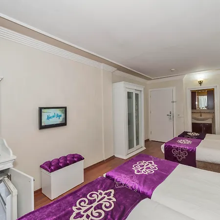 Istanbul Holiday Hotel 3* Стамбул