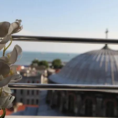 Hotel Sayeban 4*