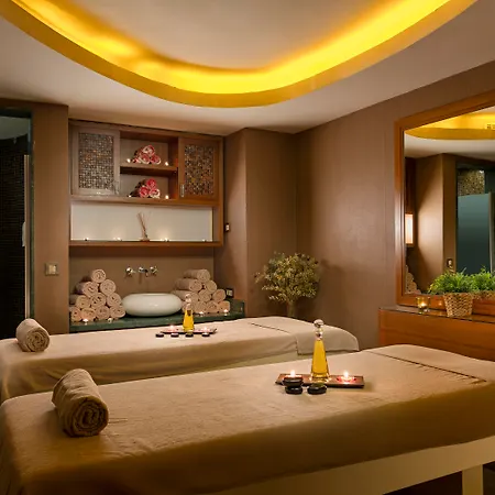 Hotel Titanic Business Kartal 5*