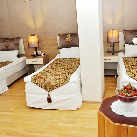 Arsima Otel 3*