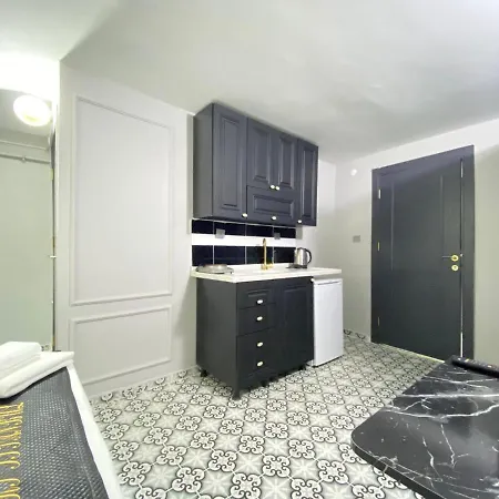 Comfy And Central Studio Flat In Kabatas Beyoglu Apartment *