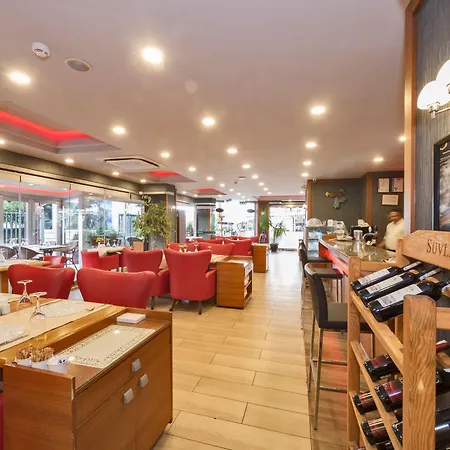 维琴察酒店 酒店