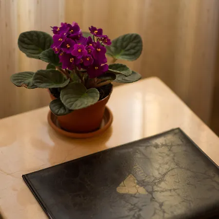 Hotel Antea Oldcity -special Category Istanbul
