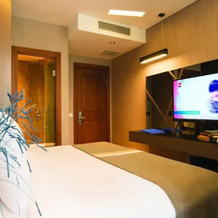 The Way Hotel 4* Istanbul