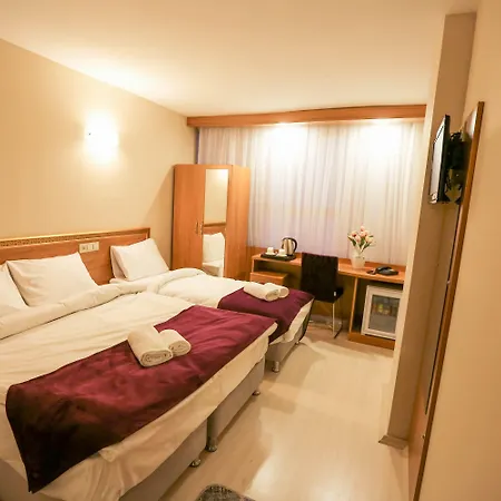 伊斯坦堡机场大酒店 3*