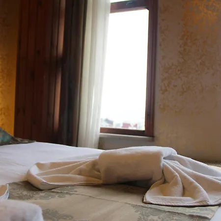 Hotel Theodian