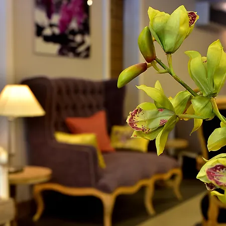 Hotel Cheya Besiktas Bosphorus Center & 3*