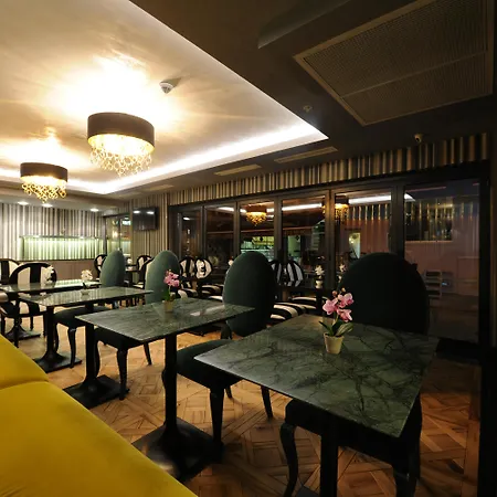 珀蒂宫酒店 - 特殊类别 伊斯坦布尔