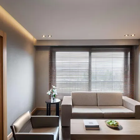 Radisson Blu Hotel&spa, Tuzla İstanbul